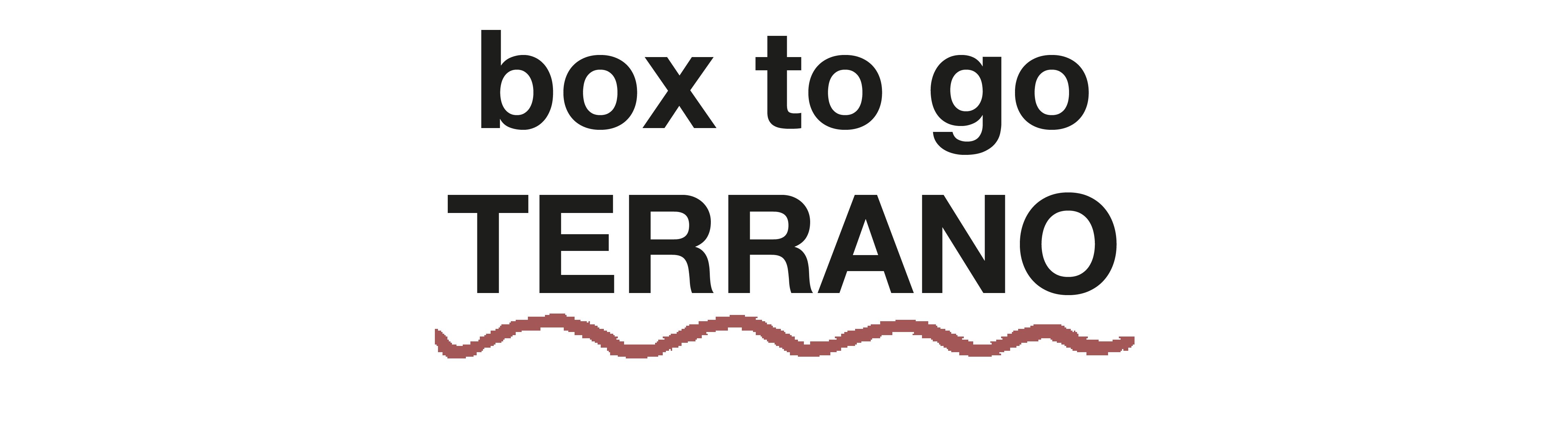 BOX TO GO-19